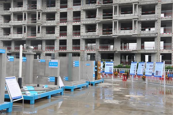 1560136569413176.jpg DSC_6986.JPG